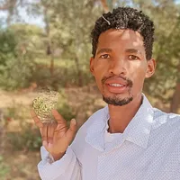 original sound - young2man