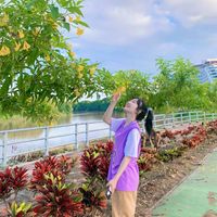 เพลงเมี่ยนเพราะๆ