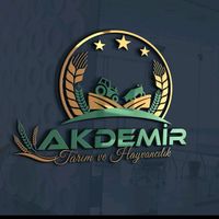 akdemir_tarm66