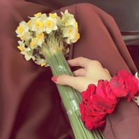 hadiaabbasi...3