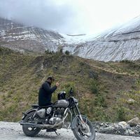 pattey7800