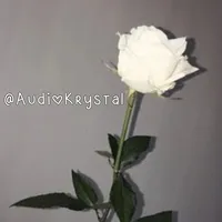 original sound - audiokrystal