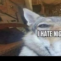 Ty sm for the support