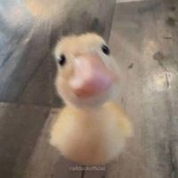 nhạc nền - ❤️❤️