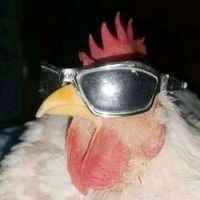 katanofc