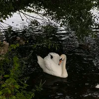 original sound - monxsa7