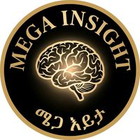 megainsightet