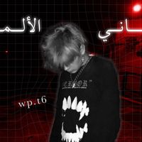 wp.t6
