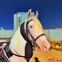 original sound - danishbadshah5