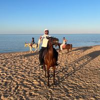 mazenqayed
