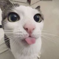 cam_011011