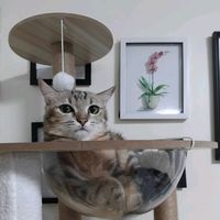 bean_maew_sam_klom