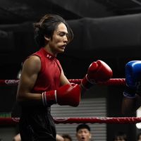 original sound - ray drac