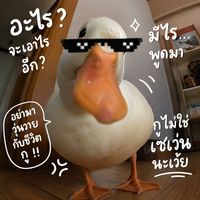 doopaigon
