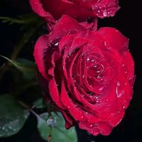 patyjdjuarez5