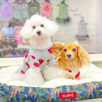 fromace_trimmingsalon