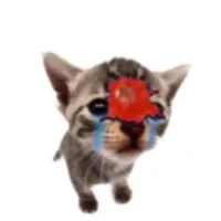 original sound - crazplaz