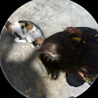 glharuu2