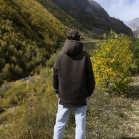 оригинальный звук