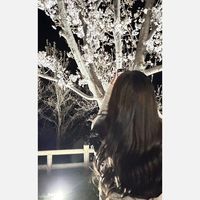 オリジナル楽曲 - かのん