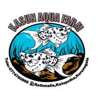 kasun.aqua.farm
