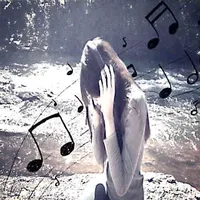 original sound - milkovskiyfans