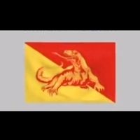 TEBE MANUSIA KOKOREOK