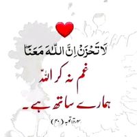 m.yar.786