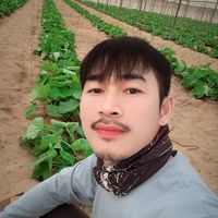 aekkaphon_bkk