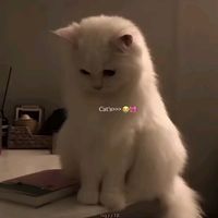 jerry__342