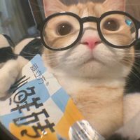 suara asli - 🍄–⋆𐙚`ᥲᥙrᥱᥣ.୨ৎ.
