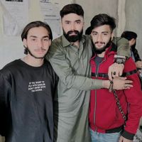 ameenrajpoot444