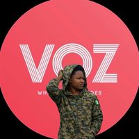 v_o_z_001
