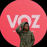 original sound - v_o_z_001