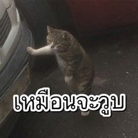 jdzxcvbnm0000