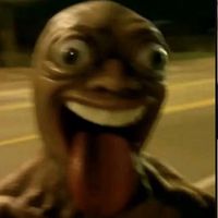 raaphan406