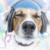 original sound - micin