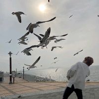 오리지널 사운드 - ES