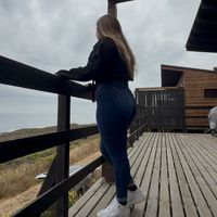 ant_065