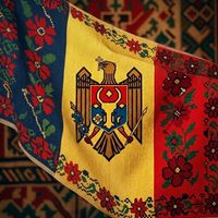 Un pui de maimuță periculos