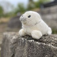 オリジナル楽曲 - つくちゃん