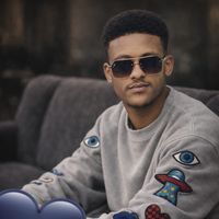 الصوت الأصلي