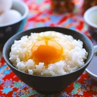 miyazakigohan