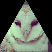 original sound - secretgrudge.404