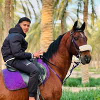 aminebelhaj989