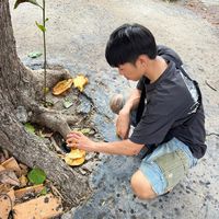 เสียงต้นฉบับ - อริญชัย เทพรัสมี