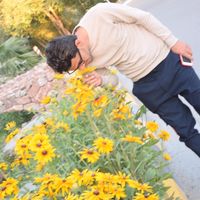 ali__2131
