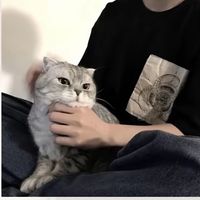 maru_maru5454