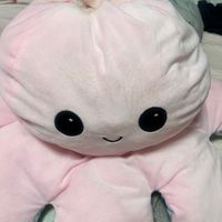 chunmyu15