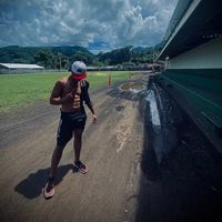 rino_pzone